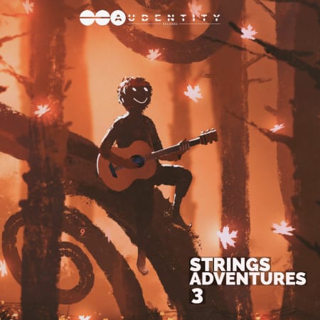 【EDM多风格吉他采样包】Audentity Records – Strings Adventures Vol.3