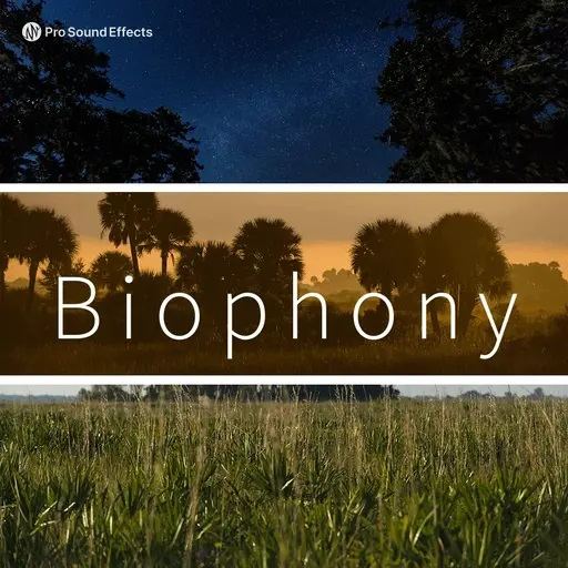 【大自然环境氛围音效采样包】Pro Sound – Effects Biophony
