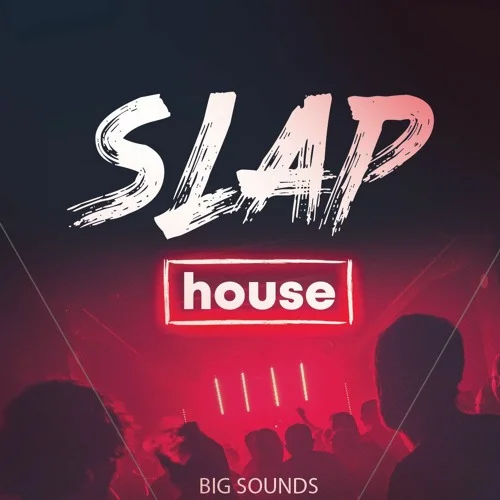 【Slap House风格采样包】Big Sounds – Slap House