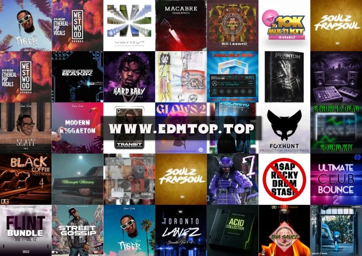 【EDM多风格采样包合集2026.3.31】SAMPLE PACK COLLECTION VOL.17