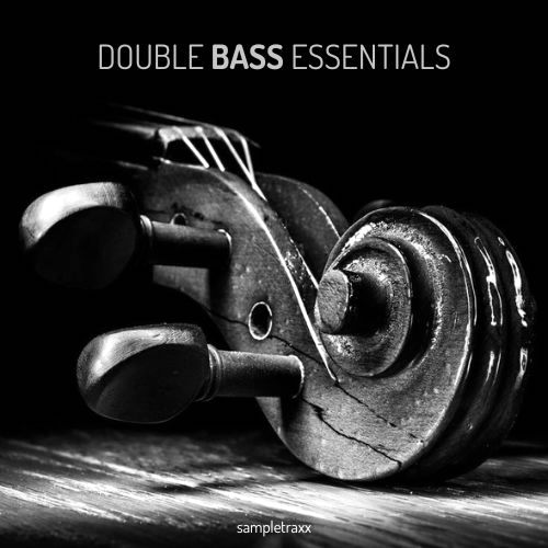 【低音提琴乐器KONTAKT扩展】SampleTraxx – Double Bass Essentials