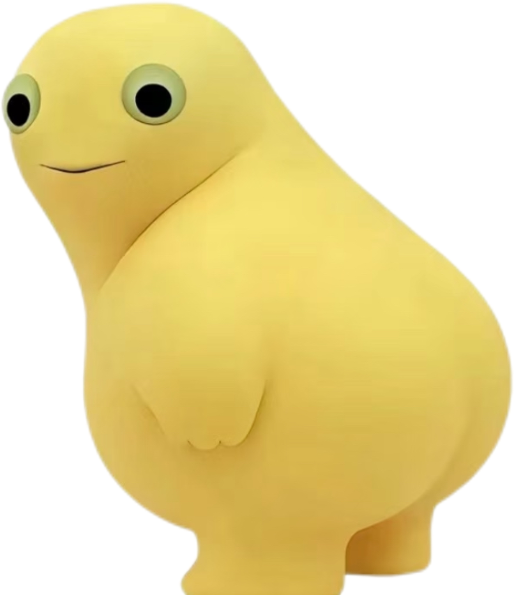 jelly的头像